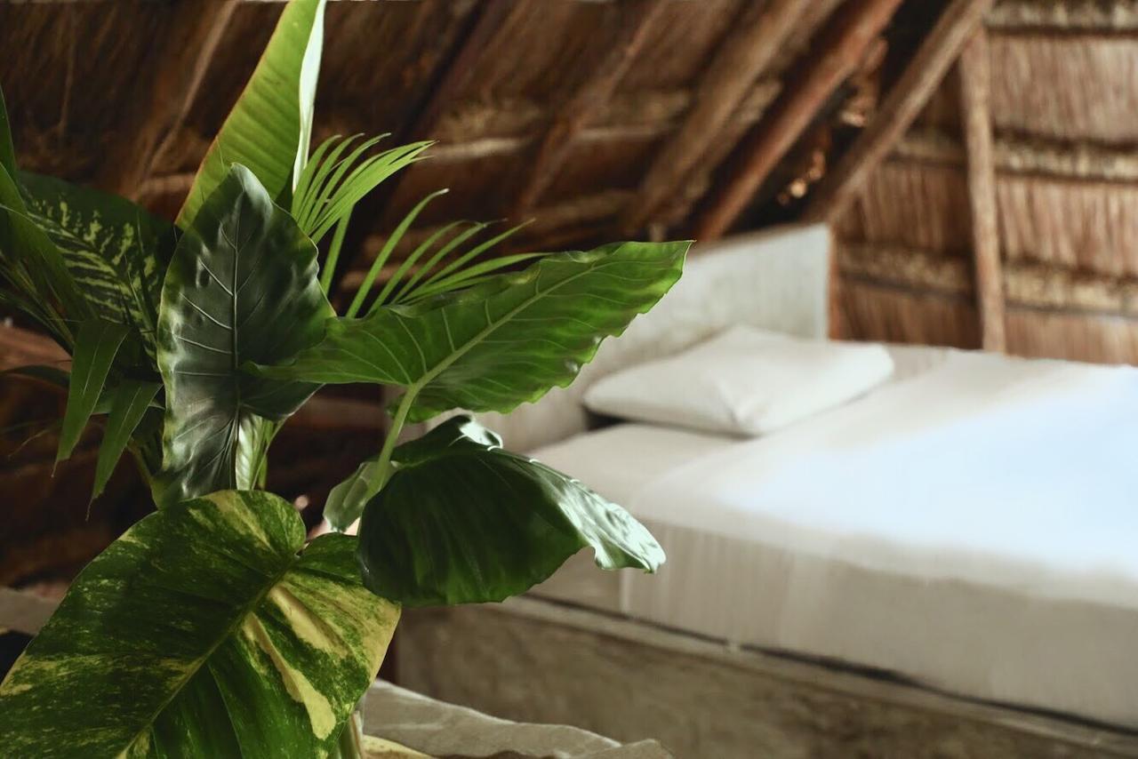 Tuup Jungle Lejlighedshotel Tulum Eksteriør billede